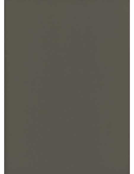 Titan 7