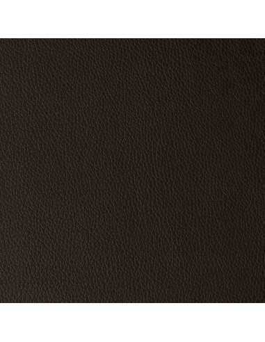 Arizona dark brown