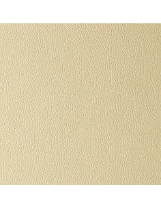 Arizona beige butterfly