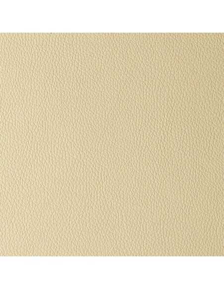 Arizona beige butterfly