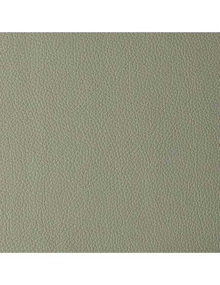 Arizona light grey