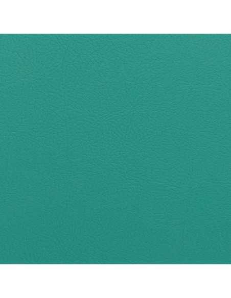 Napatech aquamarine
