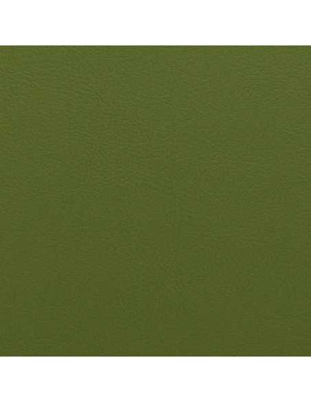 Napatech olive